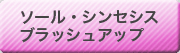 ソール・シンセシス　ブラッシュアップ